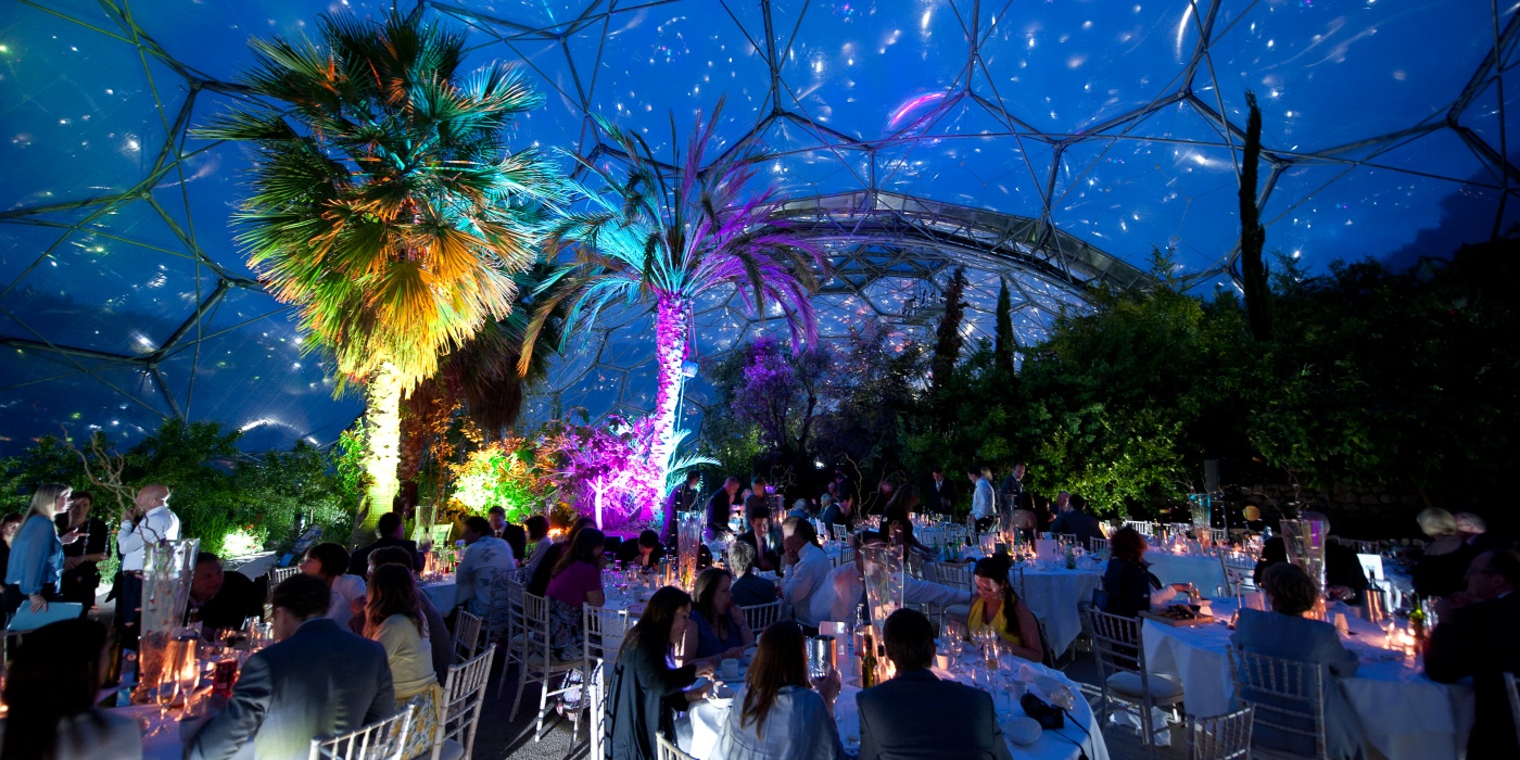 mediterranean-biome-wedding-night